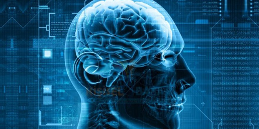 Bilim insanları kötü anıların keşfedilen proteinle silinebileceğini açıkladı