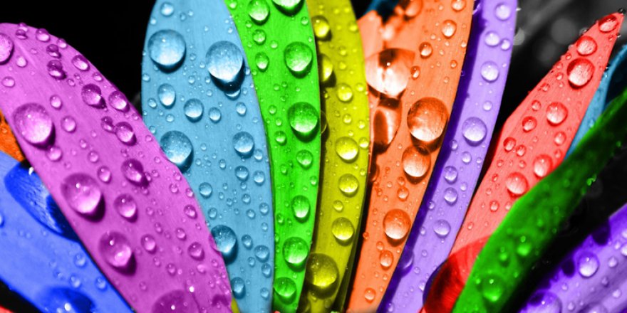 2022’nin rengi belli oldu