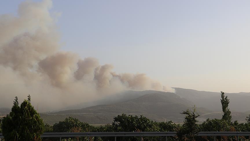 Denizli'de orman yangını nedeniyle 3 mahalle boşaltıldı