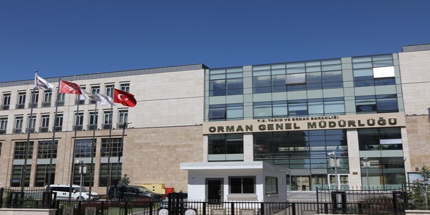 Orman Genel Müdürlüğü 74 Daimi İşçi alacak