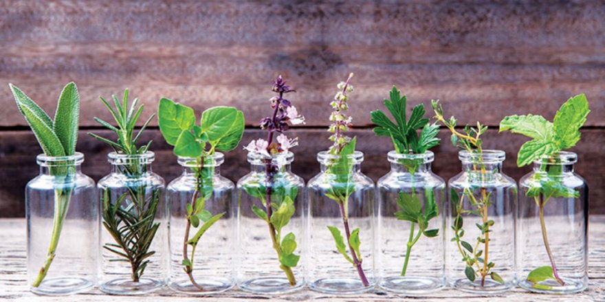 Edirne Ziraat Bankası personel alacak