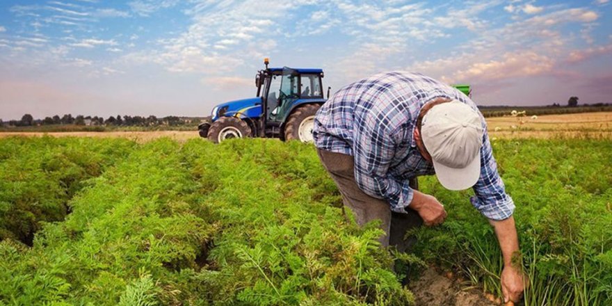 Tarım ve Orman Bakanı Bekir Pakdemirli açıkladı! Çiftçilerin hesaplarına yatacak