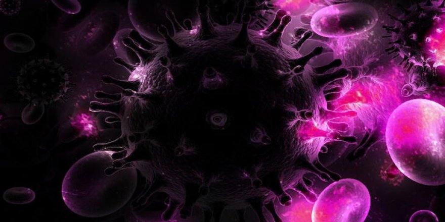 Kök hücre nakliyle HIV virüsünü yendi