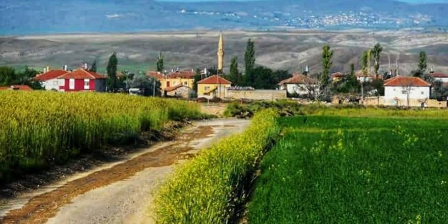 Nevşehir'de icradan satılık bina ve tarla