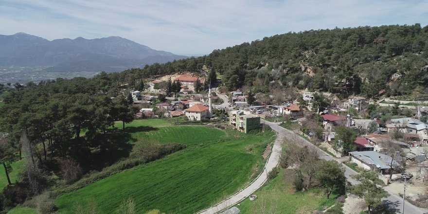 Muğla'da icradan satılık tarla