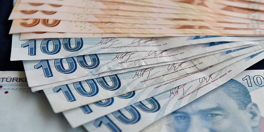 Yeni 50 ve 100 TL'lik banknotları bugün itibarıyla tedavüle girdi