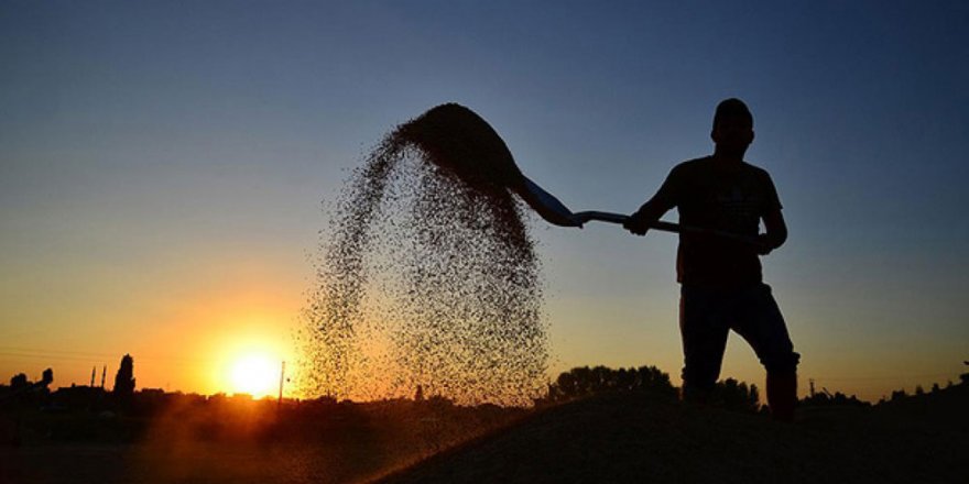 Gübre ve yem 2022 güncel fiyat listesi