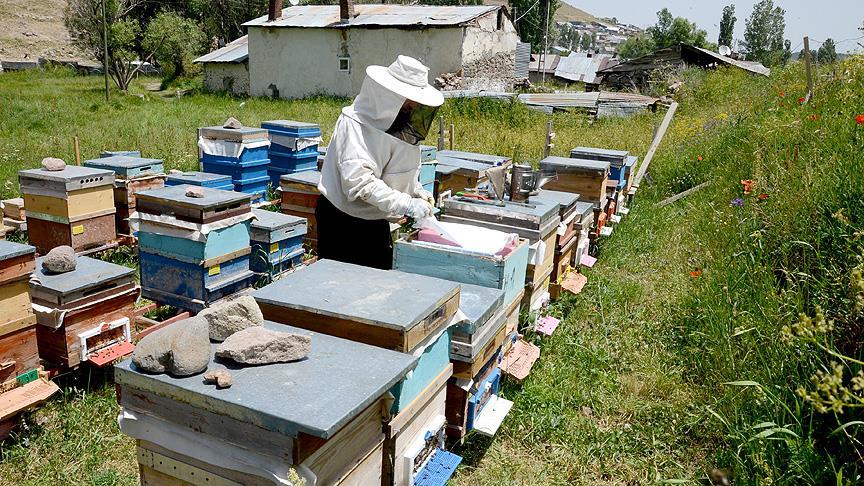 Sıcak hava arıcıları perişan etti
