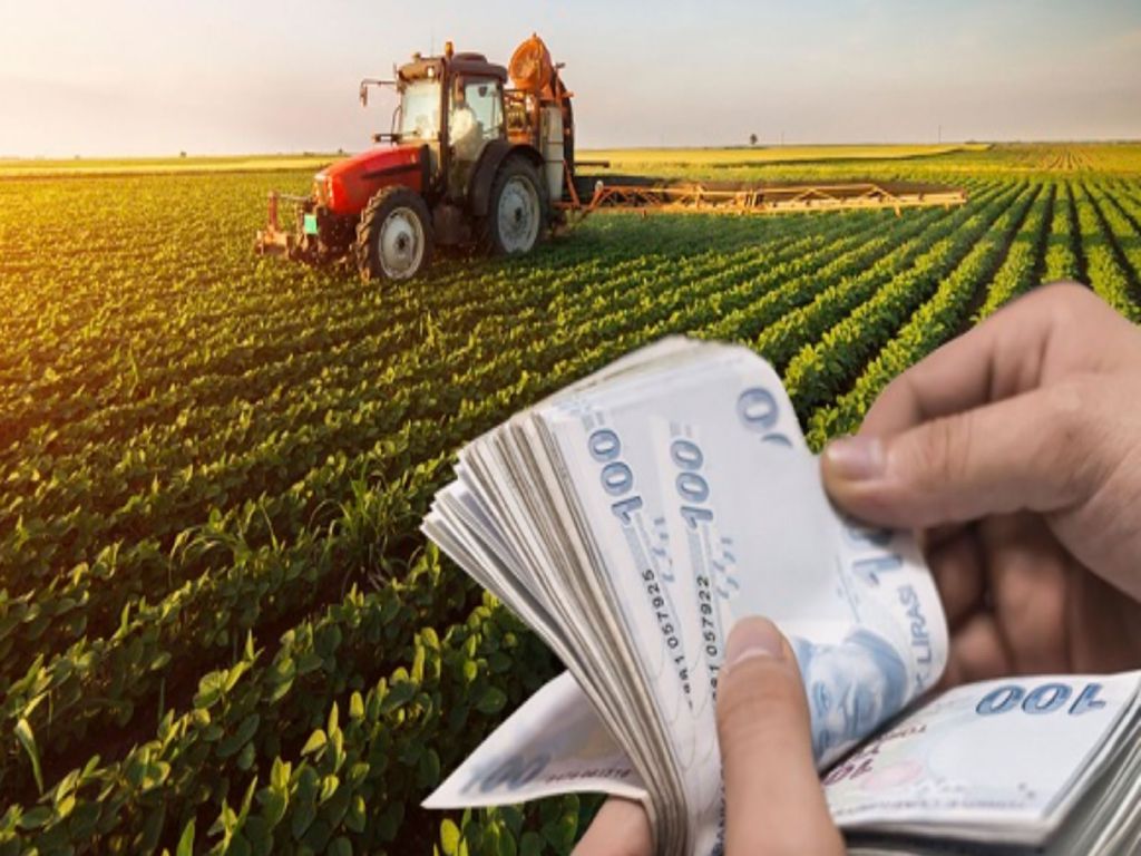 100 bin TL’ye kadar hibe desteği