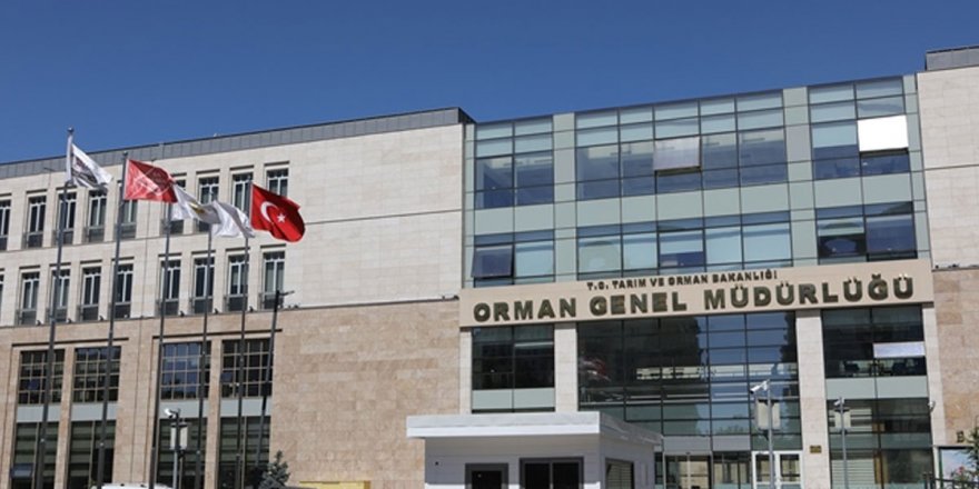 Orman Genel Müdürlüğü 22 mühendis alacak