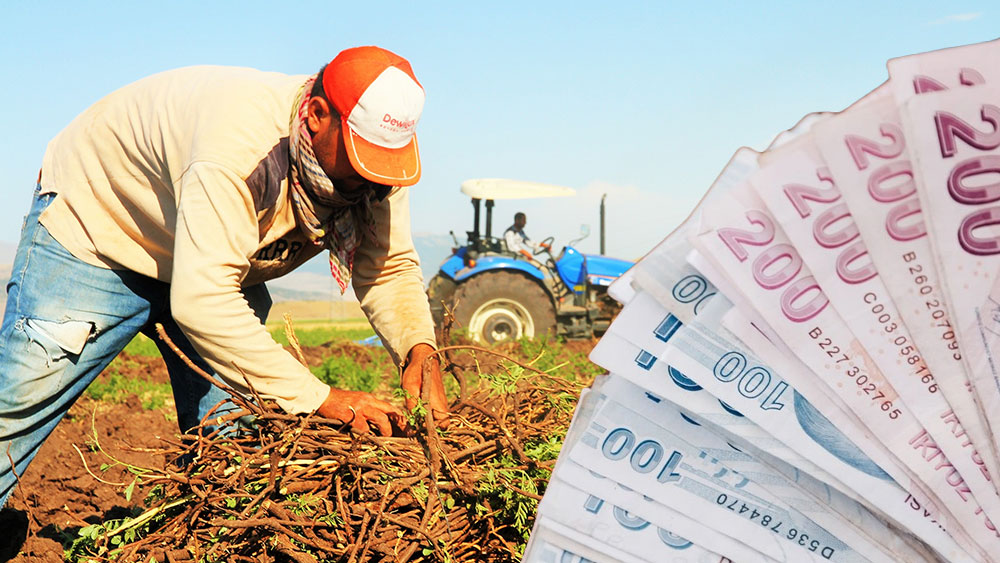 Çiftçiye elektrik desteğiyle ilgili detaylar ortaya çıktı