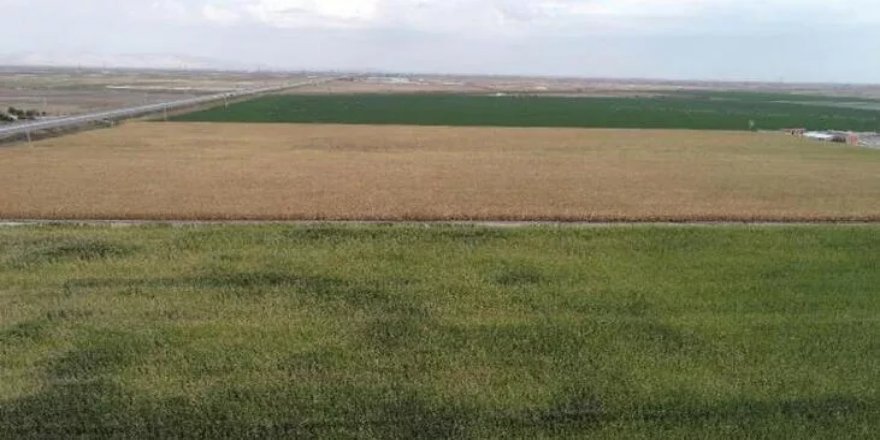 Ordu'da icradan satılık tarla