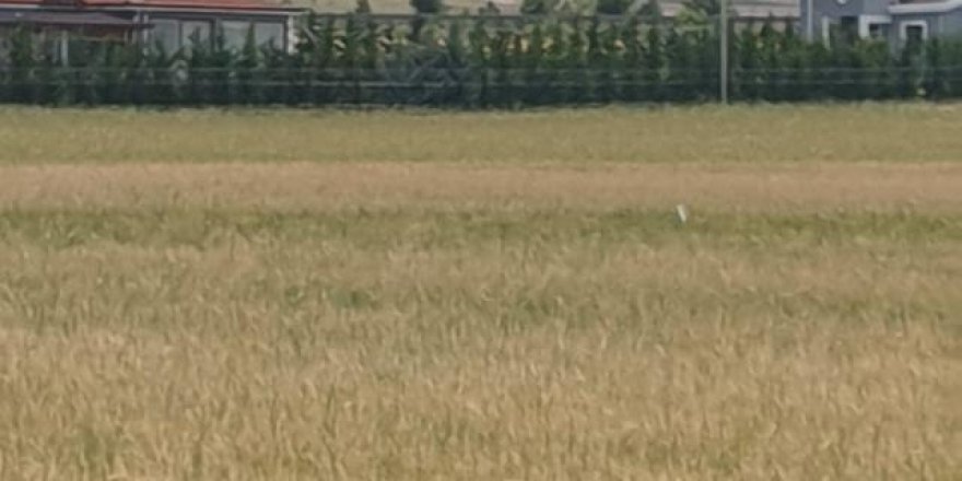 Ankara'da icradan satılık tarla