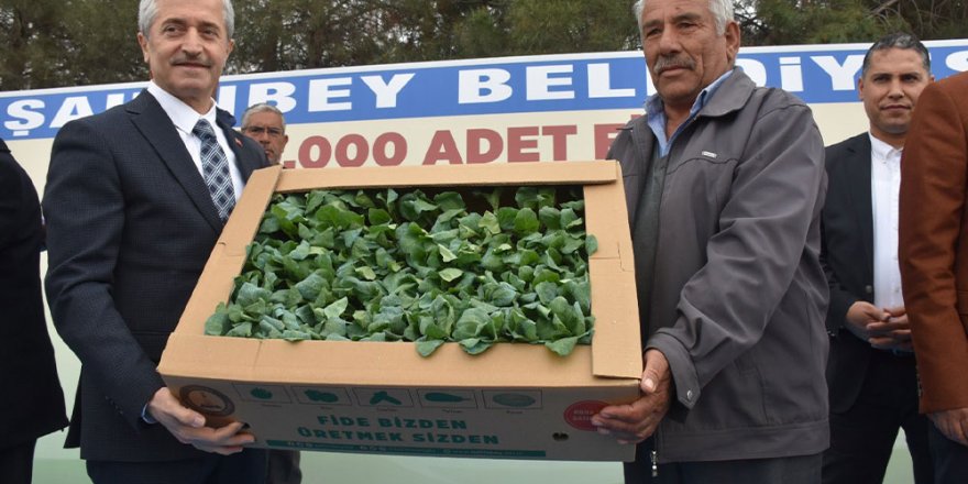 Gaziantep Şahinbey Belediyesi çiftçilere milyonlarca fide dağıttı