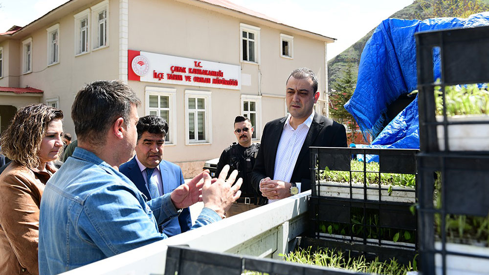 Çatak'ta çiftçilere 30 bin adaçayı ve kekik fidesi dağıtıldı