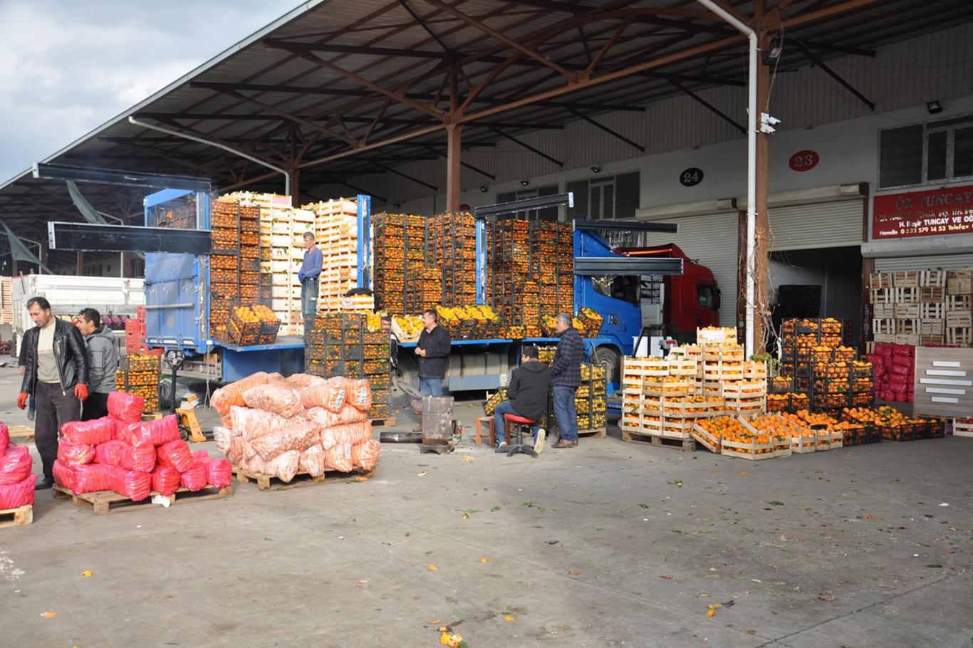 Yeni Hal Yasası’nda sona gelindi! İşte detaylar...