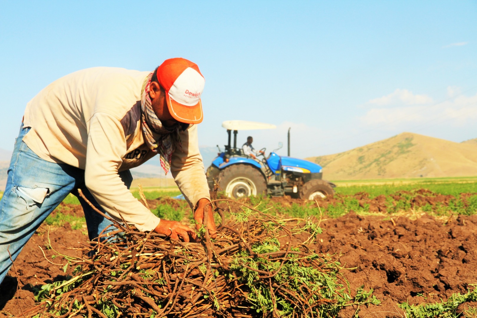 Çiftçiyi rahatlatacak 3 önemli destek