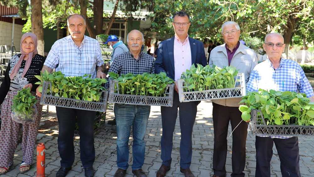 Alaşehir Belediyesi’nden fide desteği