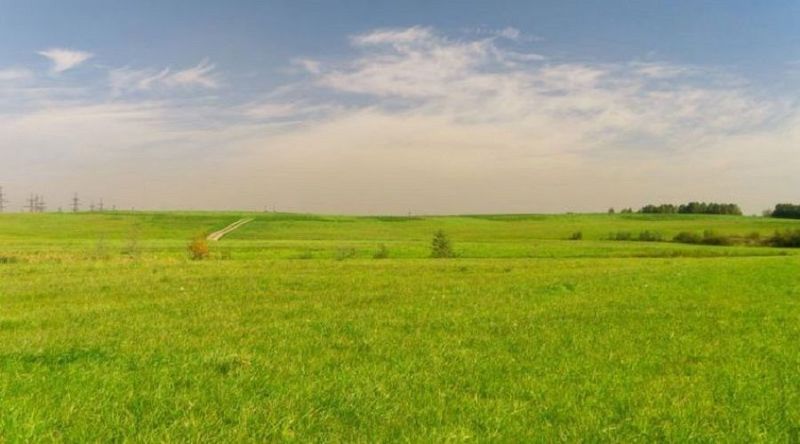 Kocaeli'de icradan satılık tarla