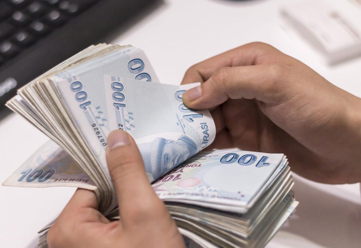 İşgücü kaybı olan engelli ve eski hükümlülere destek