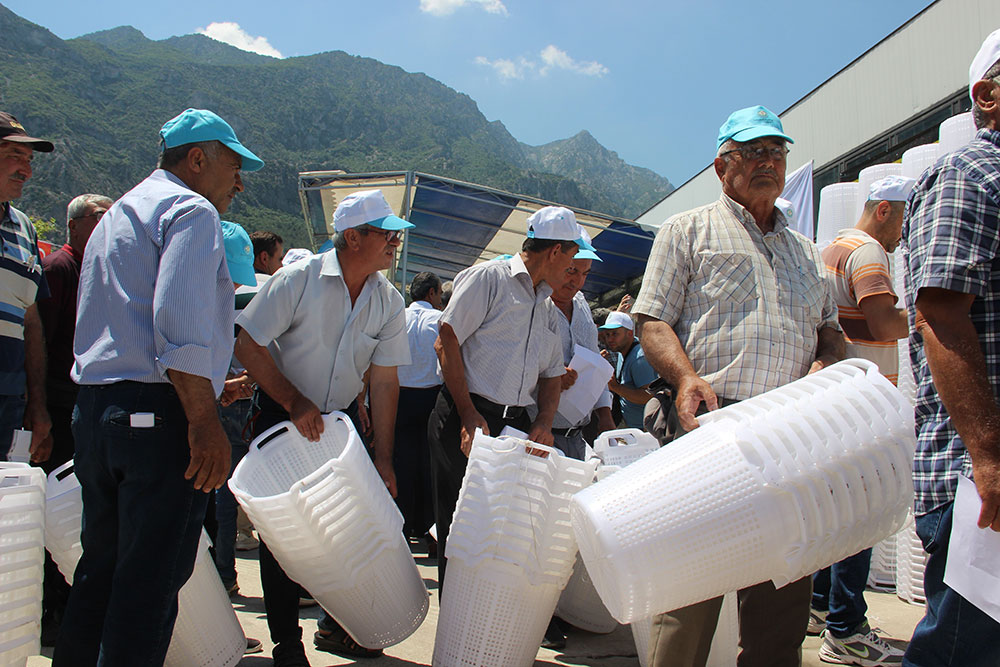 Manisa'da üzüm üreticisini rahatlatan destek