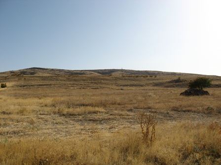 Kırşehir'de icradan satılık tarla