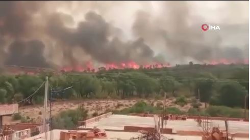 Cezayir’de orman yangını: 26 ölü