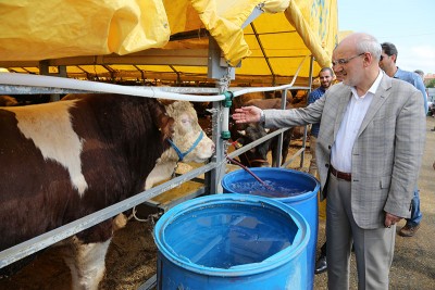 Beykoz’da kurban hazırlıkları başladı