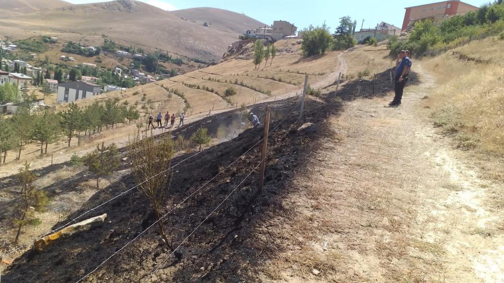 Bayburt'ta 10 dekarlık alan küle döndü