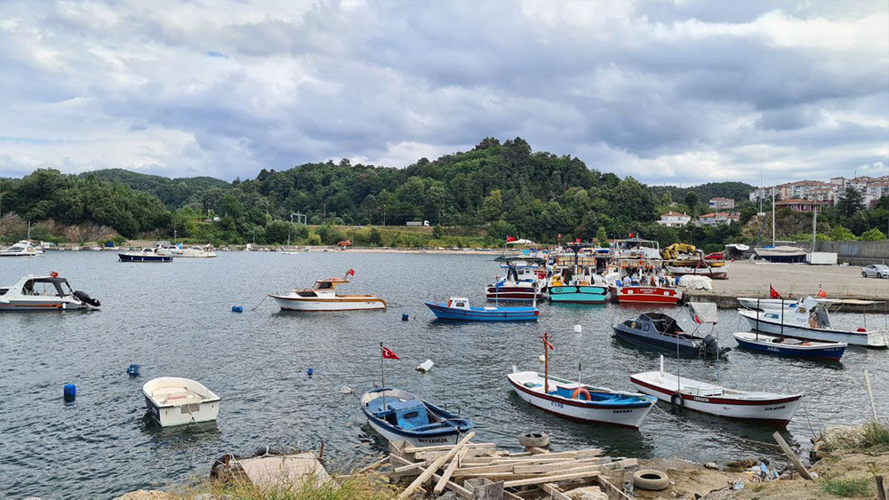 Alaplı'da 150 tekne limanda mahsur kaldı