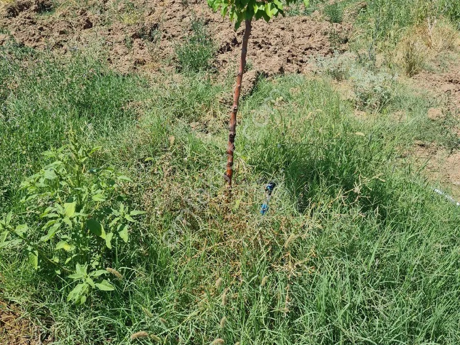 Malatya'da icradan satılık arsa