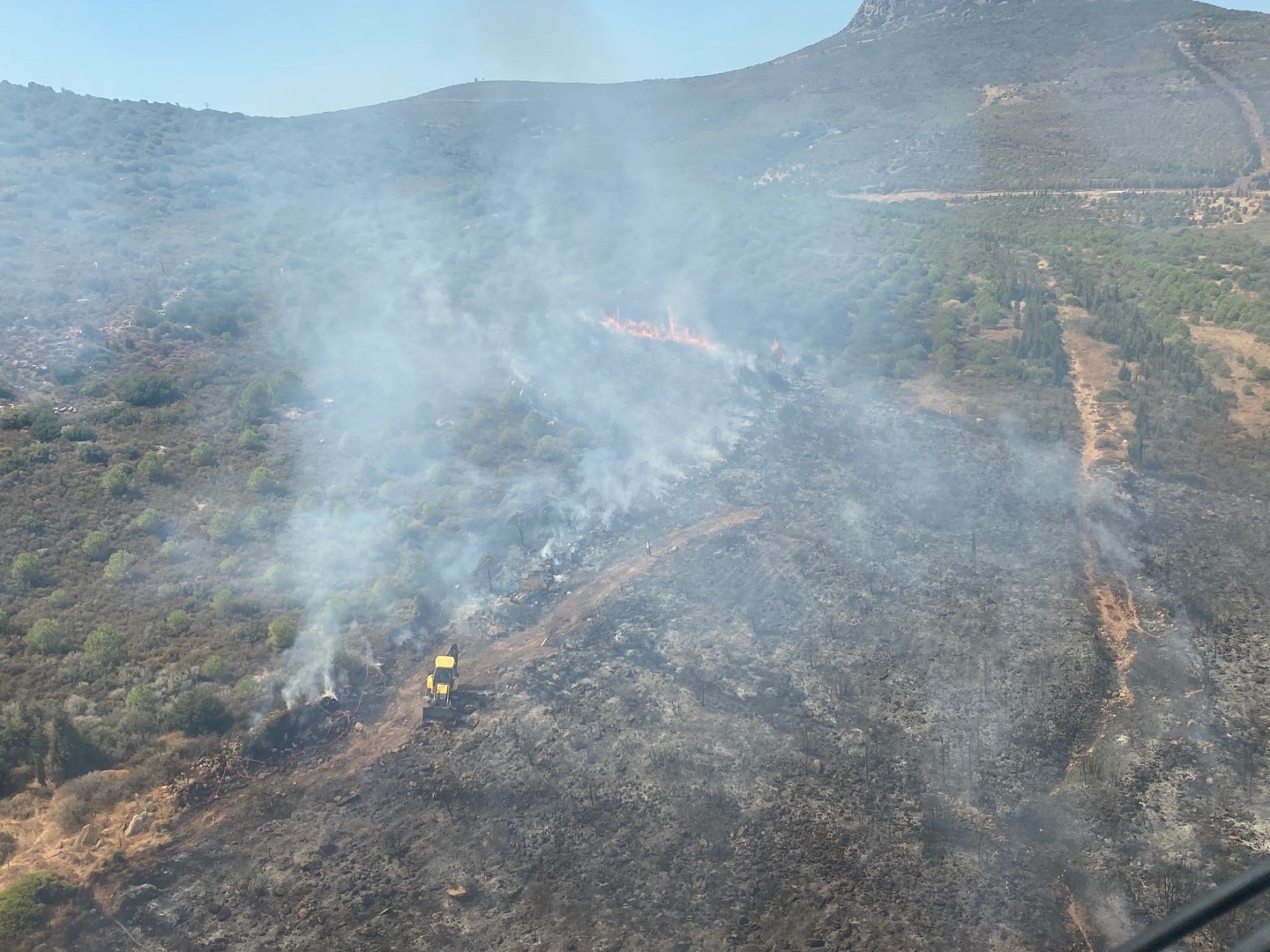 İzmir'de makilik alanda yangın