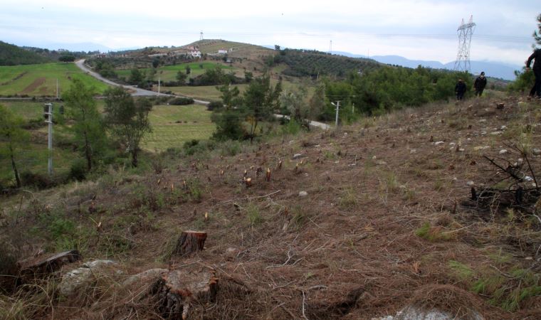 Antalya'da icradan satılık tarla