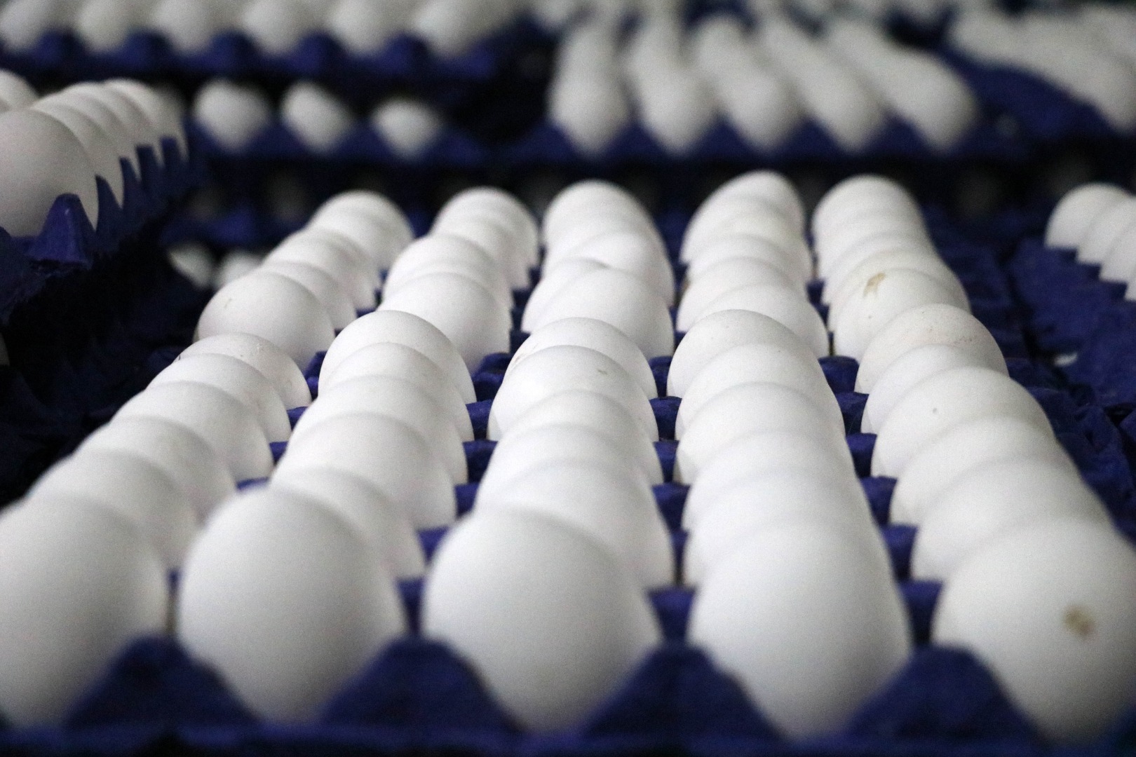 Zam yağmuruna tutulan yumurtaya dev zam