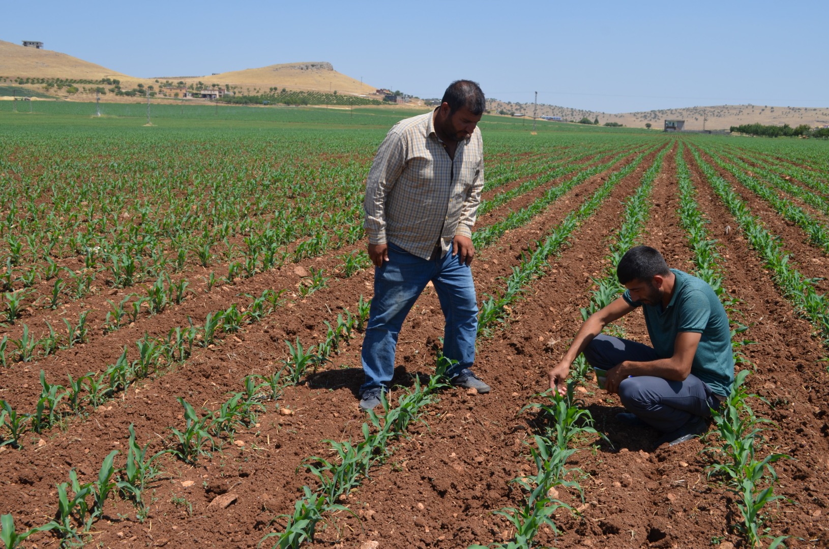 Tarımda akıllı çiftçilik dönemi