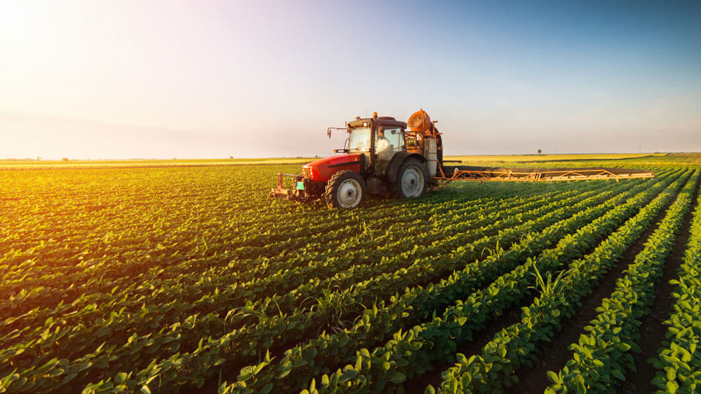 Bakan duyurdu: Mazot ve gübre desteği ödemeleri erkene çekildi