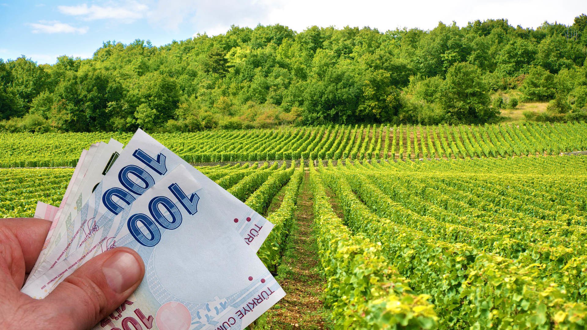 Bakan Kirişçi’den tarımsal destek açıklaması