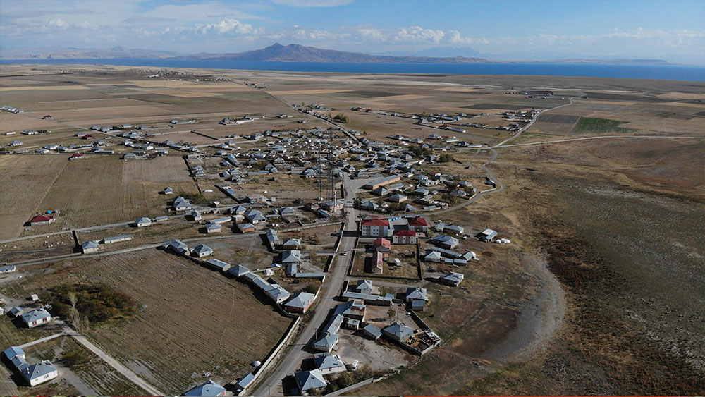 Kuduz köpeğin ısırdığı çocuğun köyünde başıboş köpekler korku saçıyor