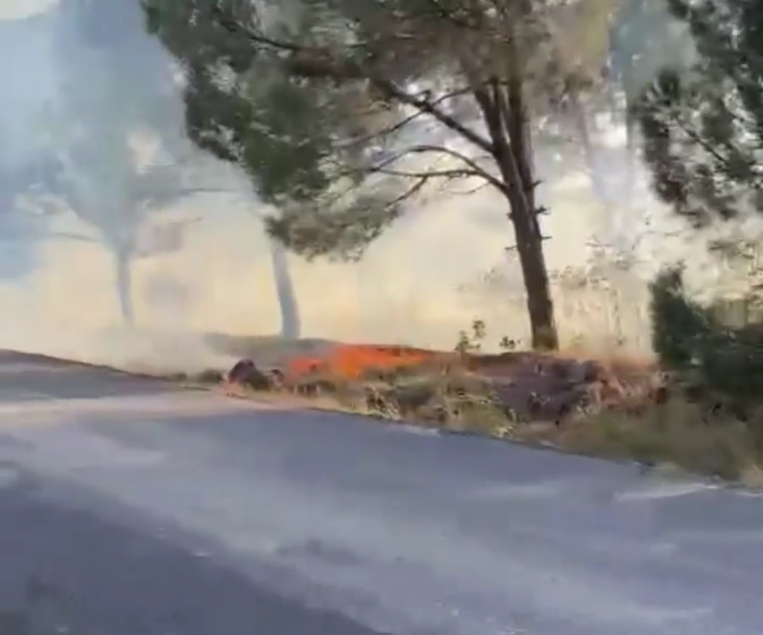 Balıkesir’de ormanlık alanda yangın