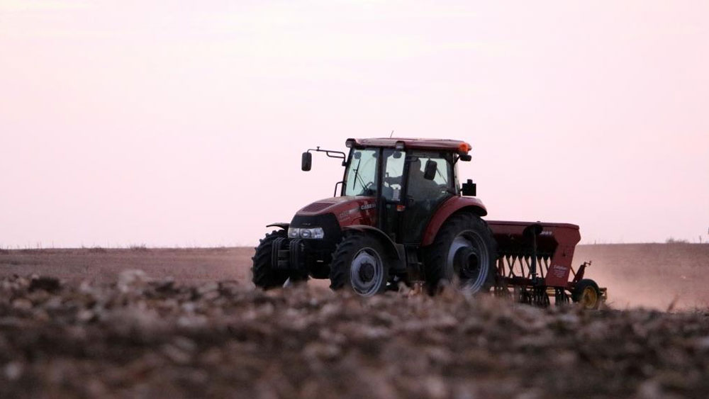 TÜİK açıkladı: Tarımsal girdi fiyat endeksi yüzde 2,9 artış gösterdi.