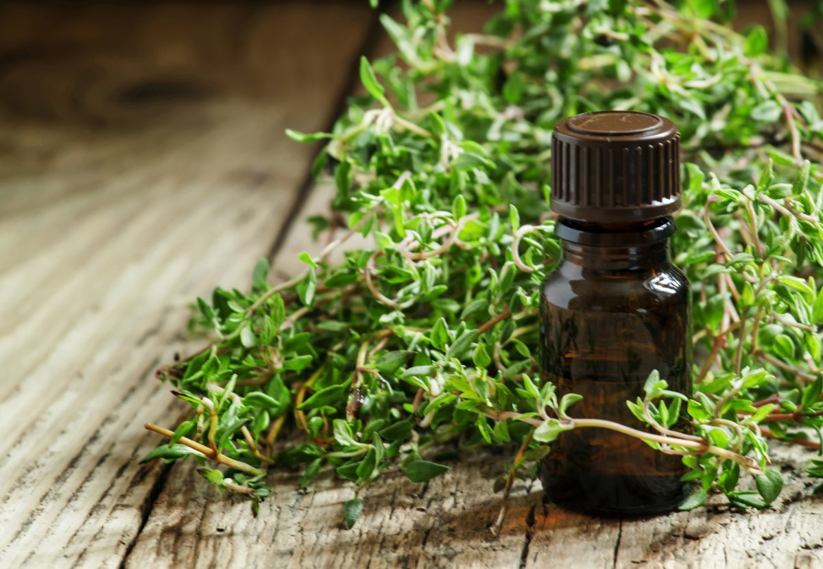 Zihni açan beyni güçlendiren besinler hangileri?