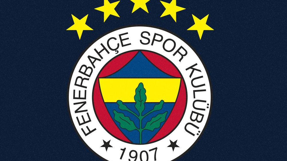 Fenerbahçe'nin can damarı 8 hafta yok!