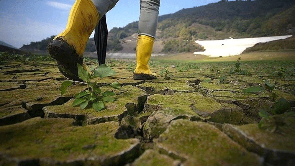 Prof. Dr. Nazan Koluman anlattı: Kuraklık girdi fiyatlarını yükseltiyor!
