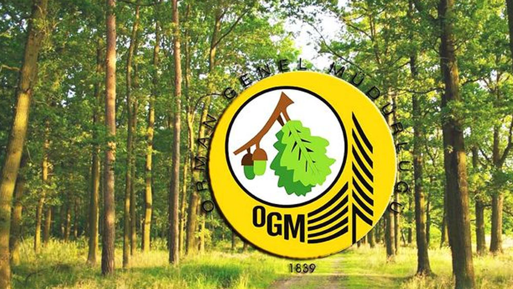 Orman Genel Müdürlüğü 249 mühendis alacak