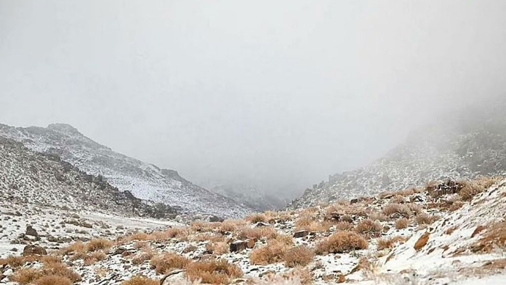 Kış etkisini gösteriyor: Arap Yarımadası'na bile kar ve dolu yağdı