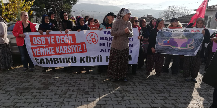 Çambükülü kadınlar  ‘hak, hukuk, adalet’ yürüyüşünde