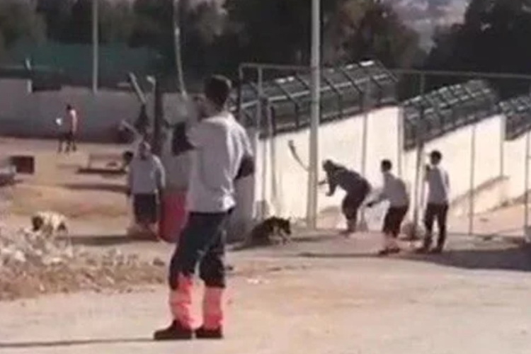 Konya’da barınak sanıkları tahliye edildi