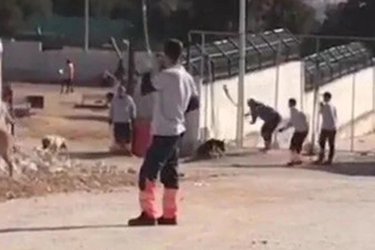 Konya'da barınak vahşetinde tahliye kararına itiraz