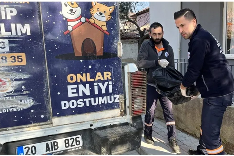 Böyle vicdansızlık görülmedi: Köpeğini diri diri yaktılar