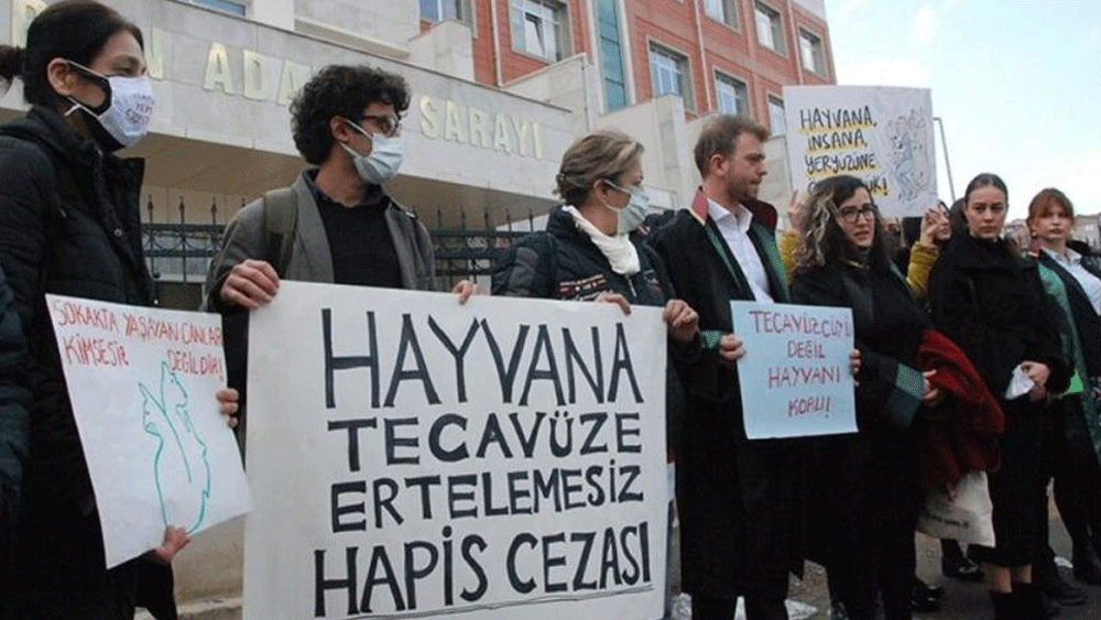 Bu kadarına da pes! Yavru köpeğe cinsel istismarda bulundu